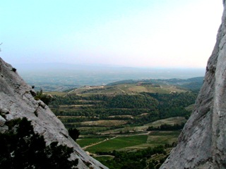 DENTELLES VUE VIGNOBLE